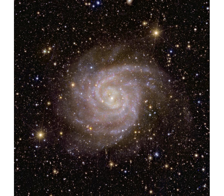 Galaxia espiral IC 342 