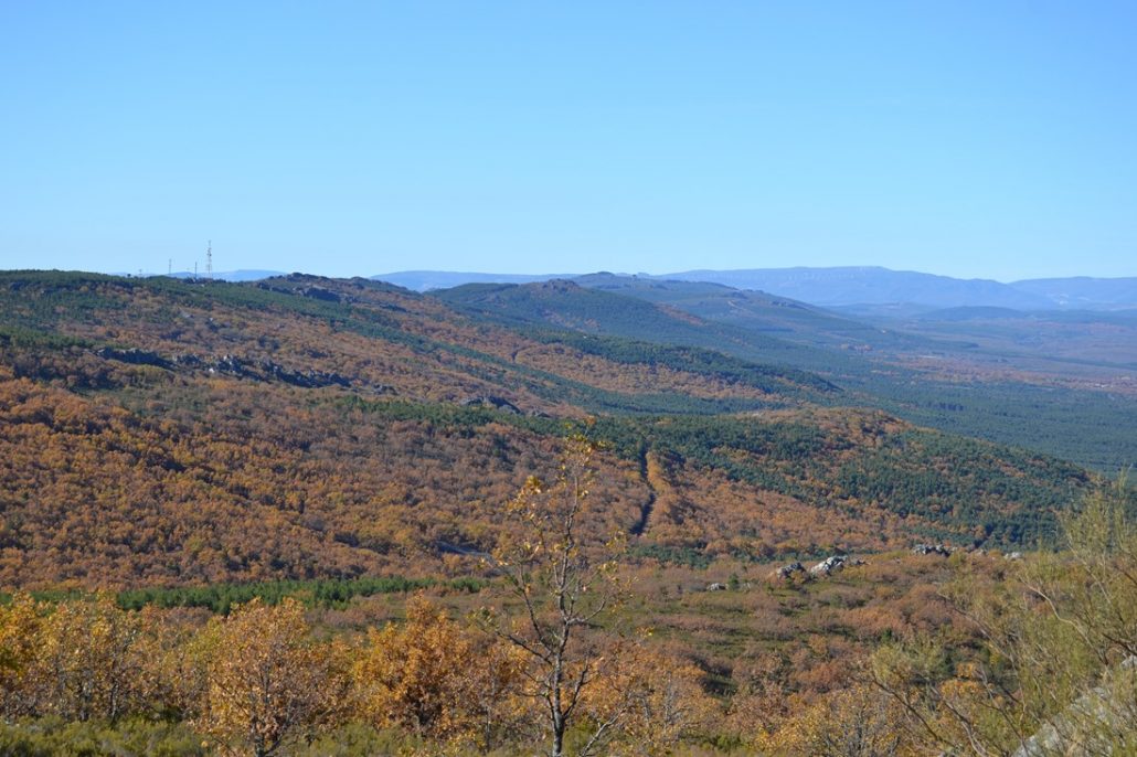 sierra de la culebra zamora