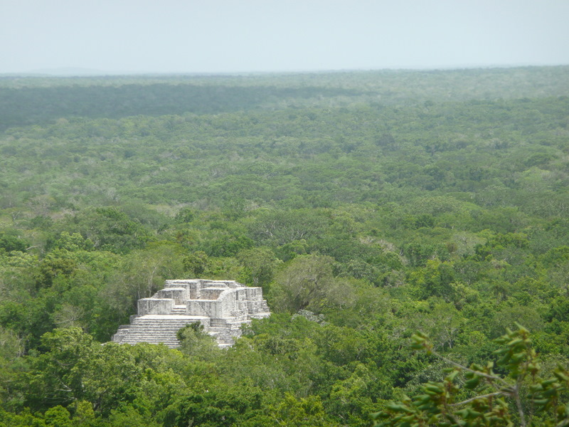 campeche_wkc