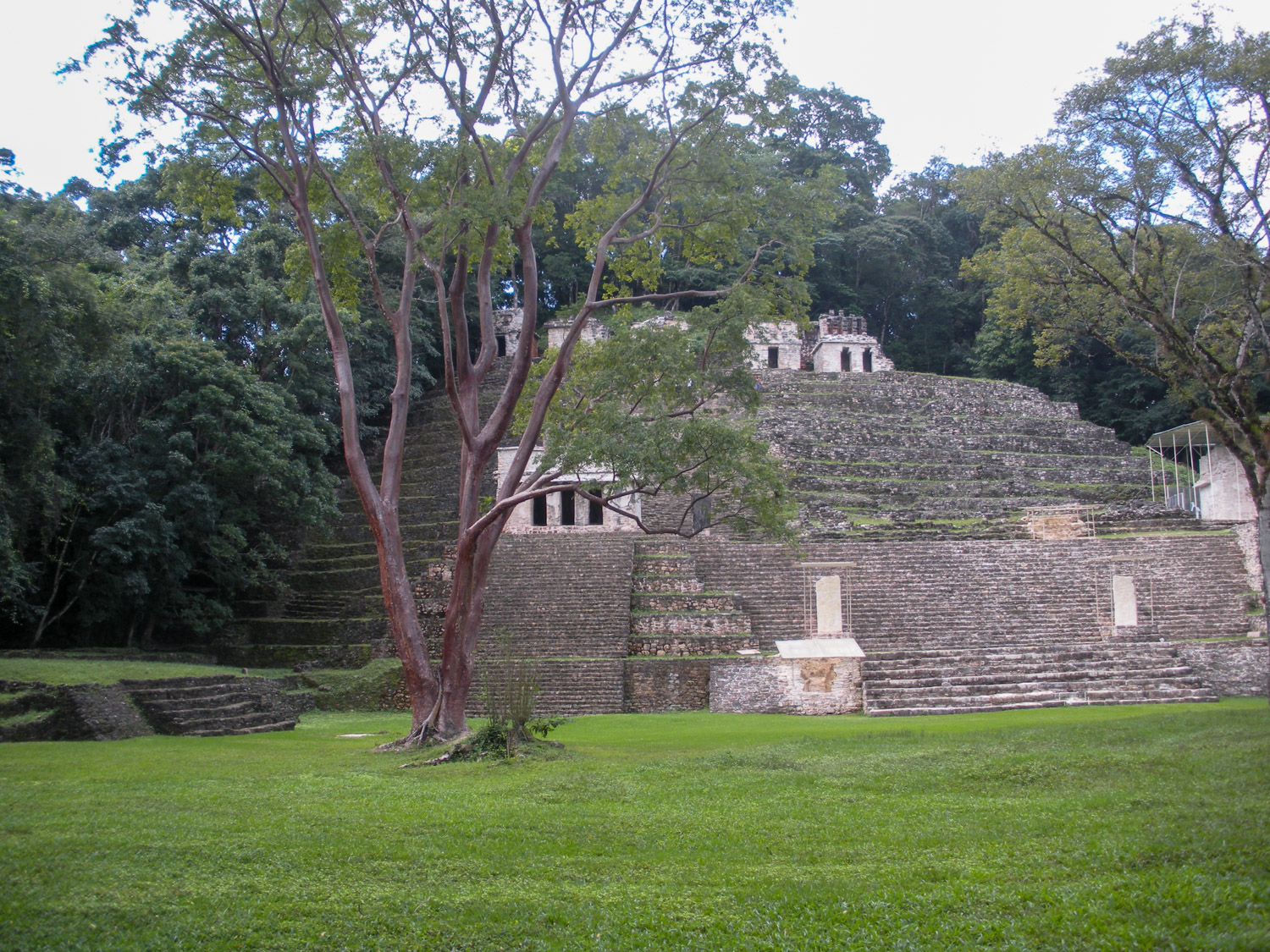 campeche_wkc