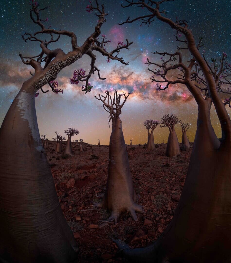 Milky Way Photographer of the Year 2025