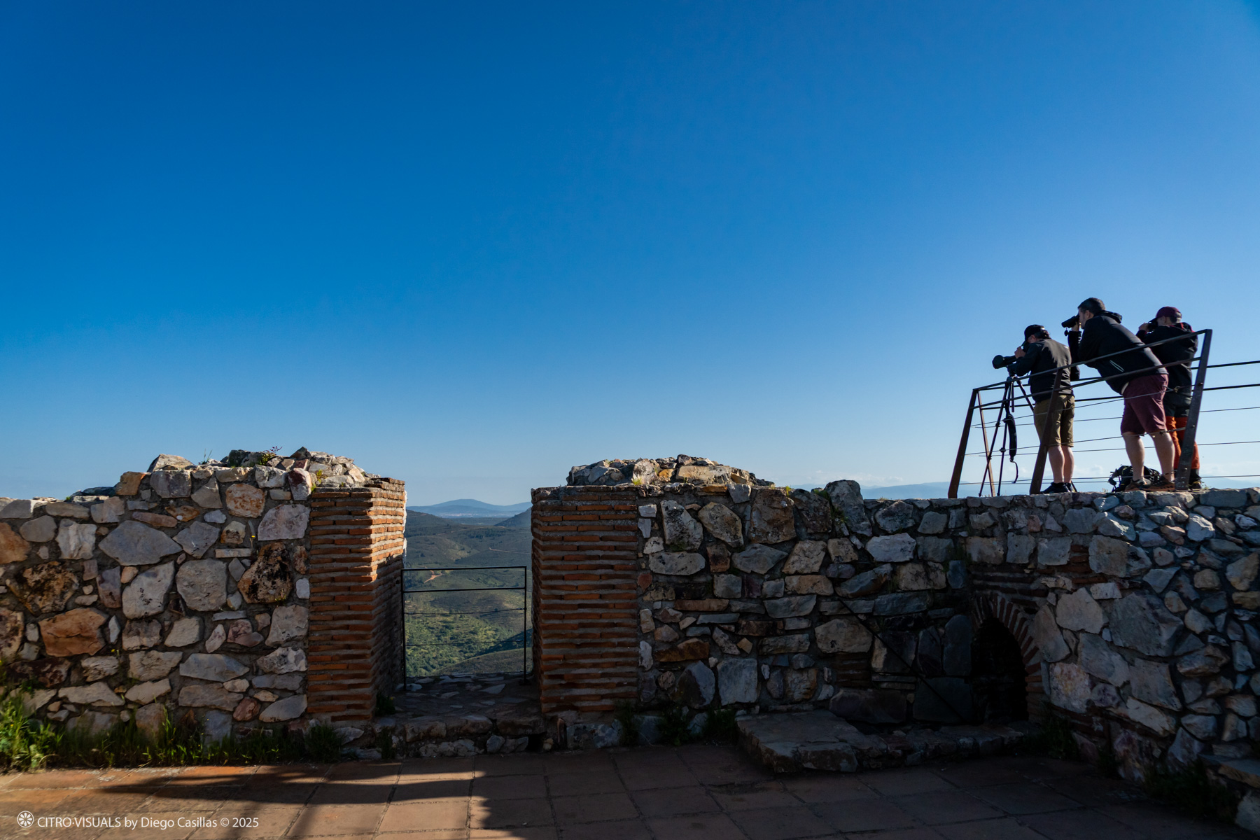 Monfragüe 2025 aves y estrellas