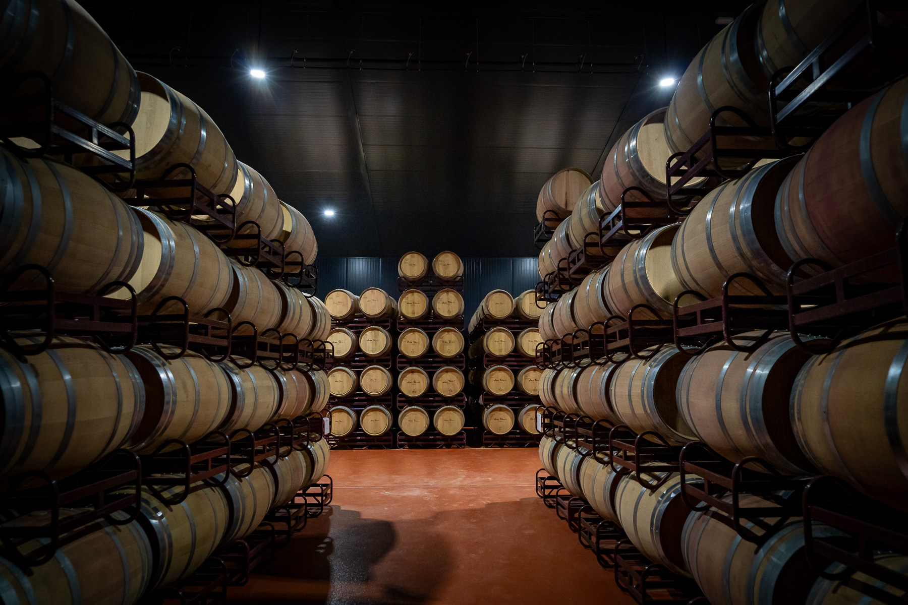 vino bodega